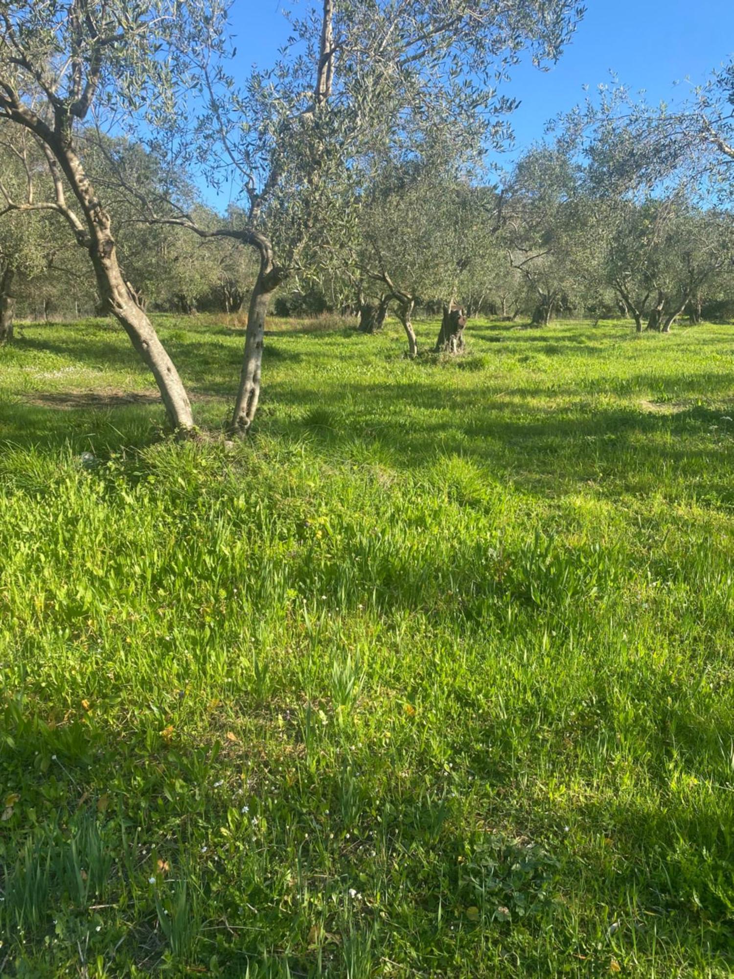 Holiday home Spiros Place Corfu